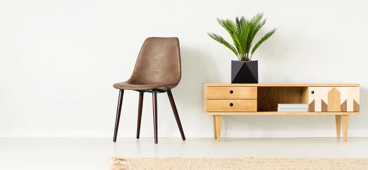 Keep Plants In Office