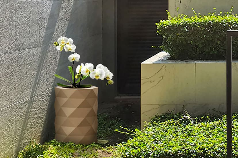 Brighten up your Indoor Space with Under the Stairs Garden