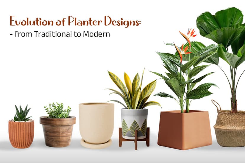 Planter Design