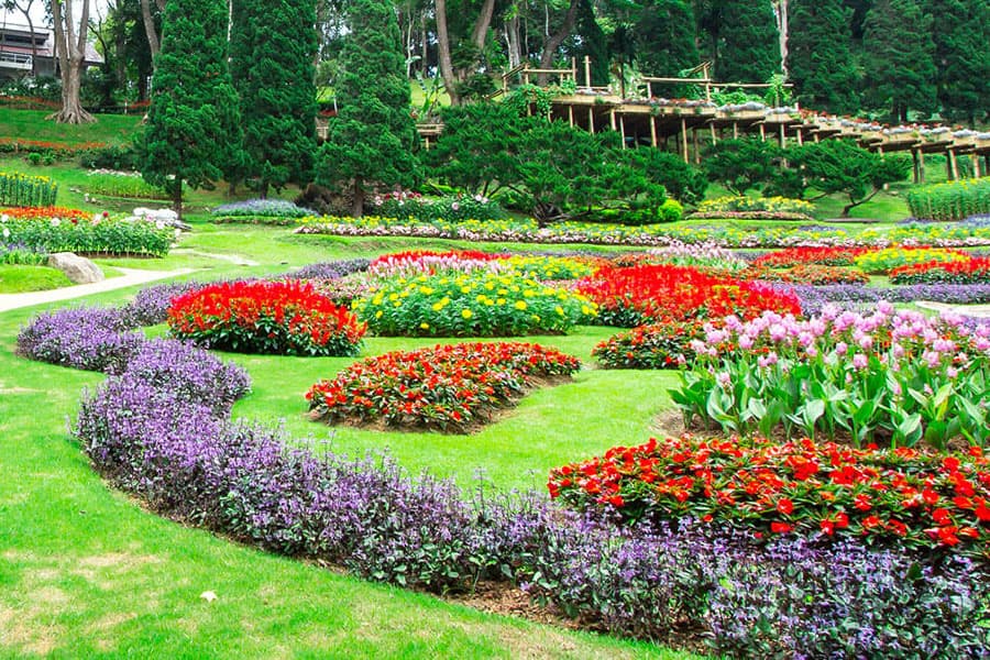 All things you should know about ornamental gardening