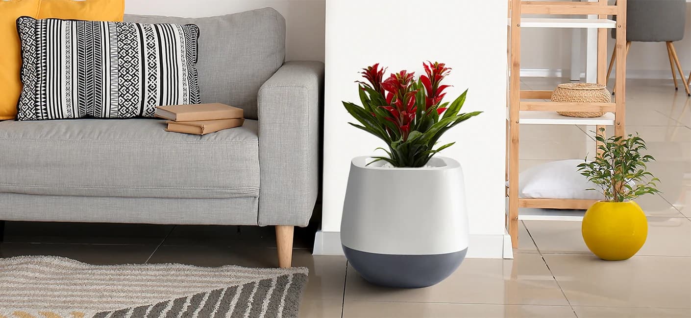 decorative indoor flower pots