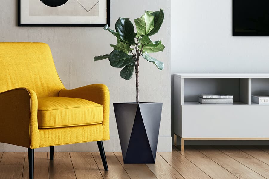 Decorative Planters remino placed besides a yellow sofa