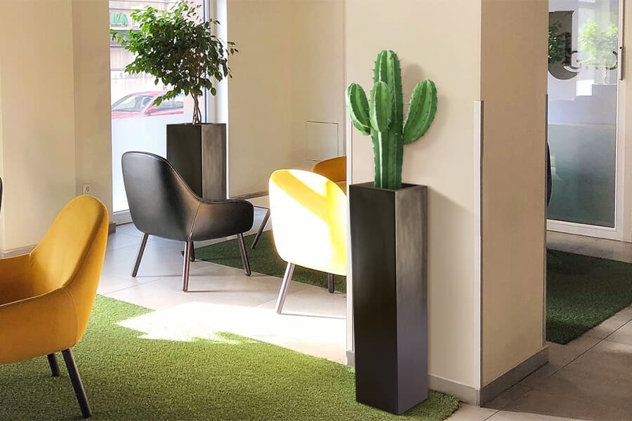 benefits of having plants in your office