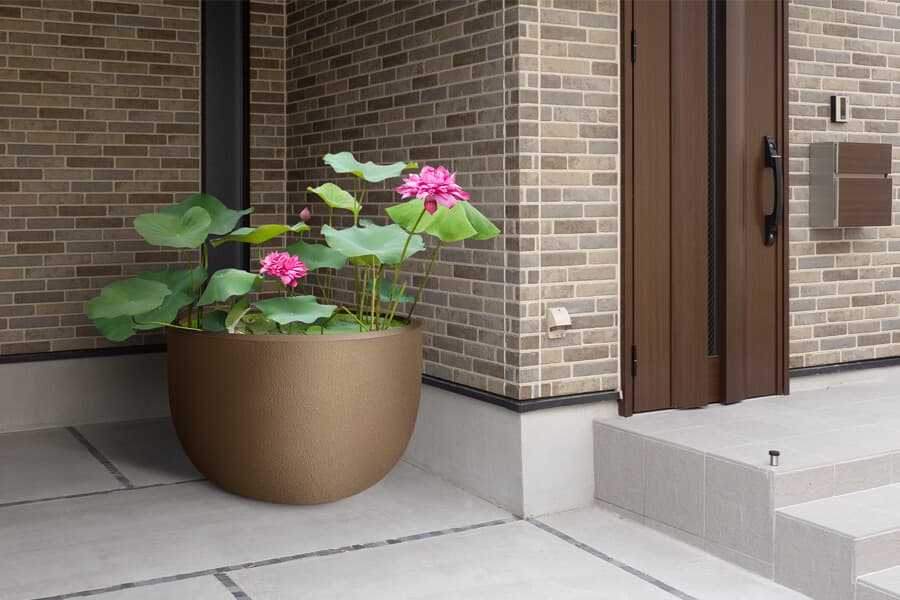 water garden built with the help of pothos, a bowl shaped planter