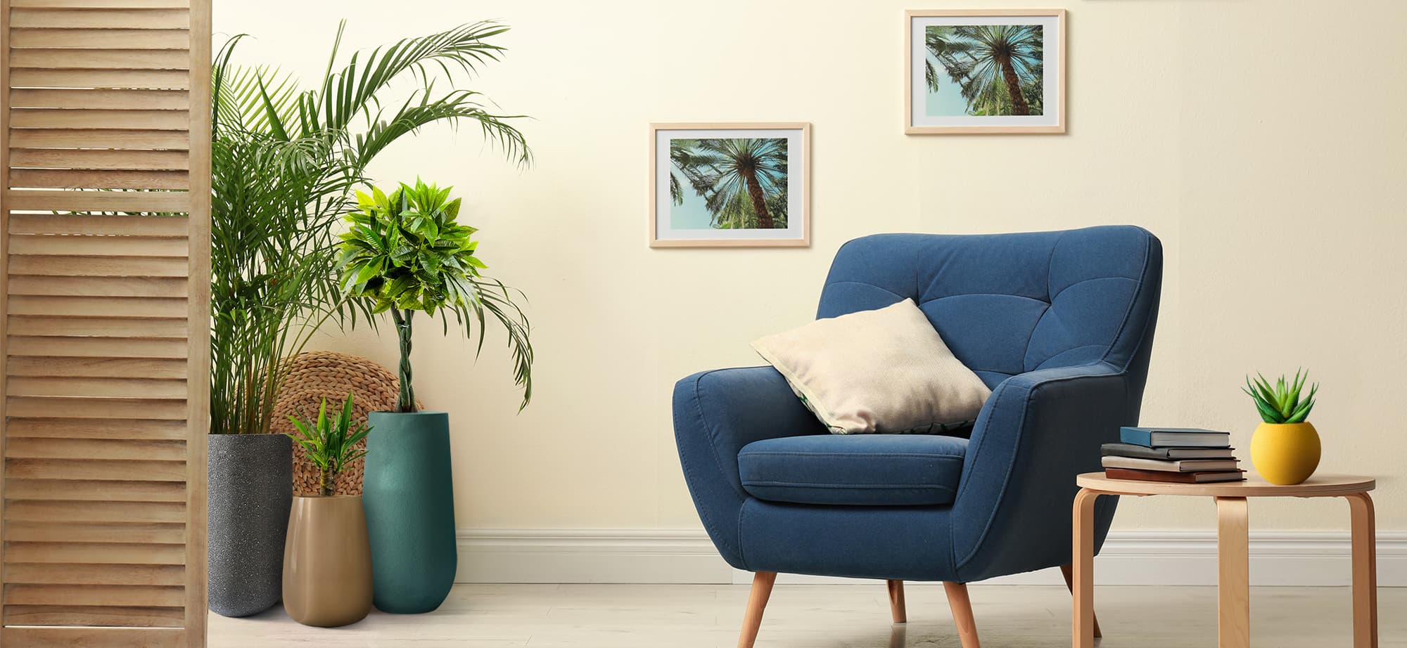 Top 8 Bonasila Indoor Planters – Customer’s Favourites