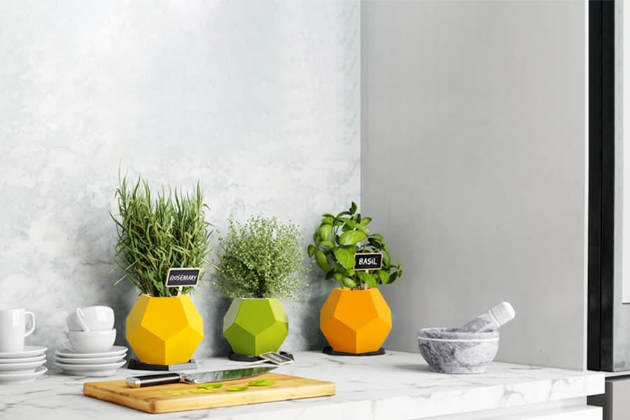 Grow Herbs in FRP Planter Boxes and Containers