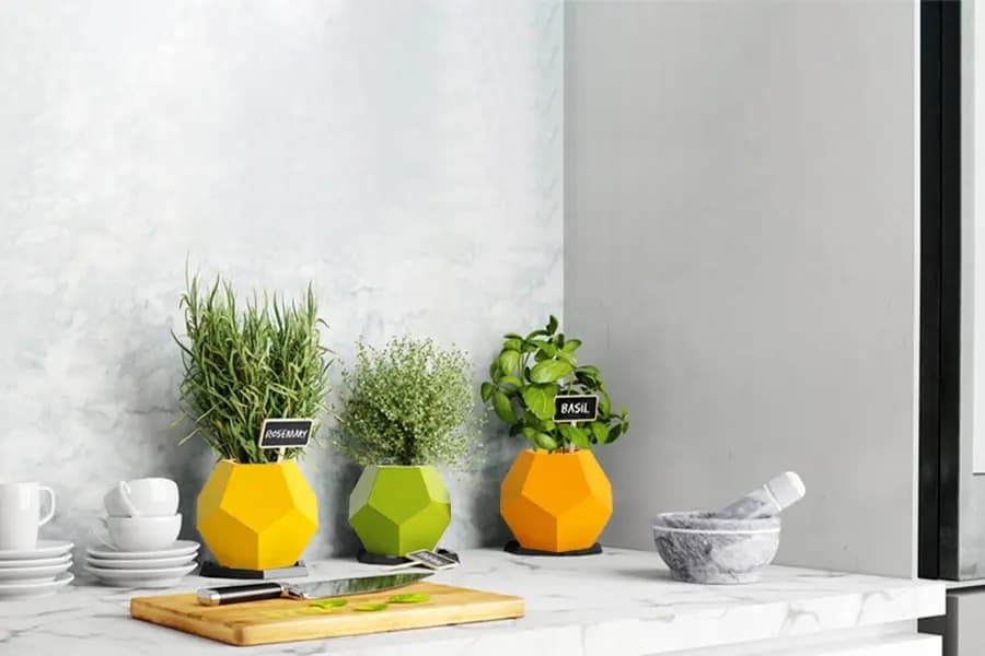 Grow Herbs in FRP Planter Boxes and Containers