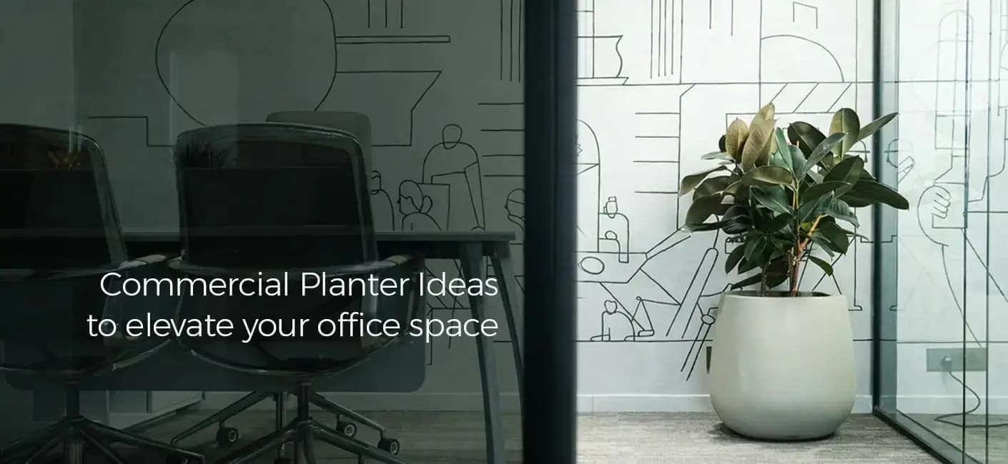Commercial Planter Ideas to Elevate Your Office Space