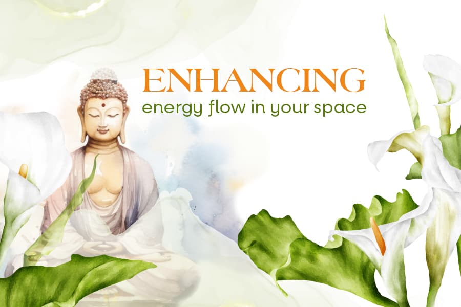 Role of Planters in Feng Shui to Boost Energy Flow
