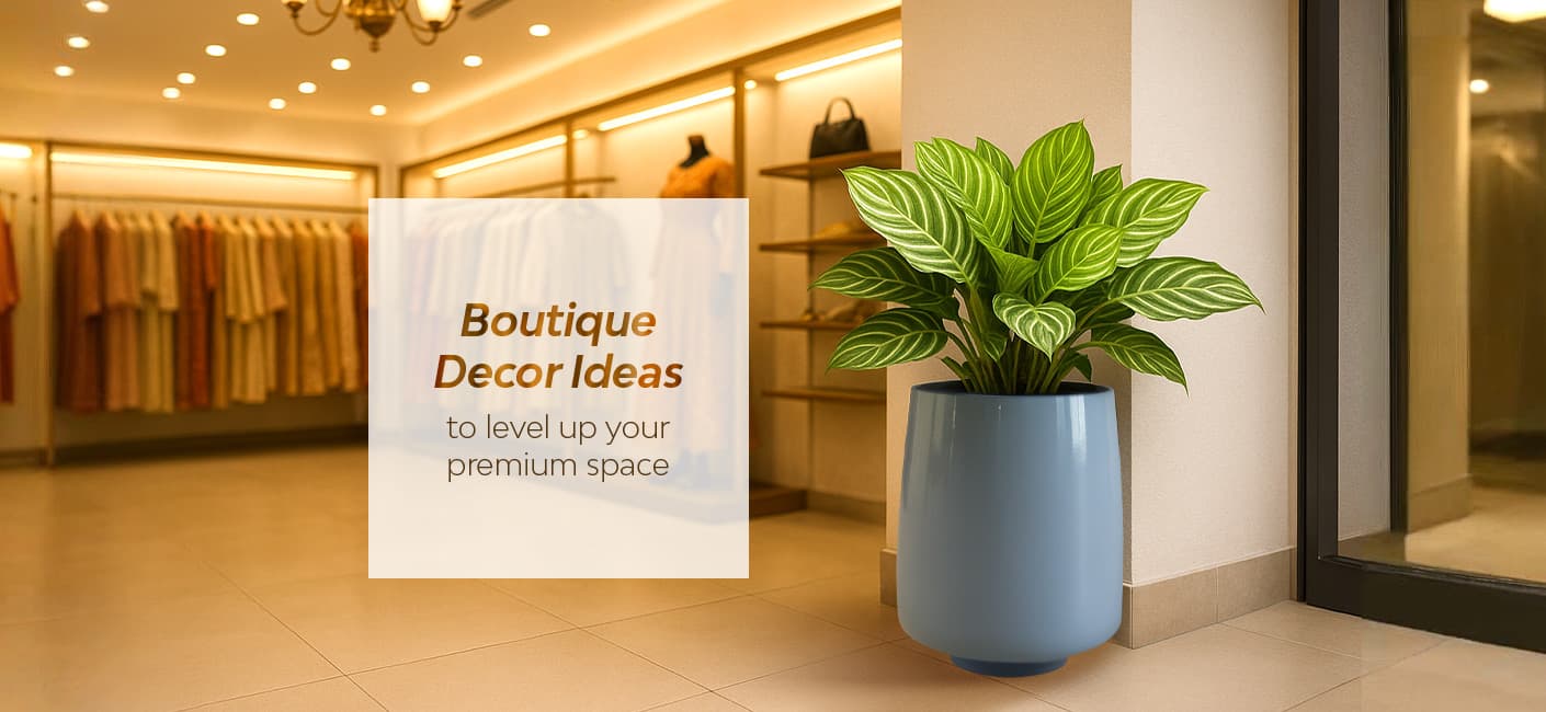 6 Best Boutique Decor Ideas That Will Level Up Your Space