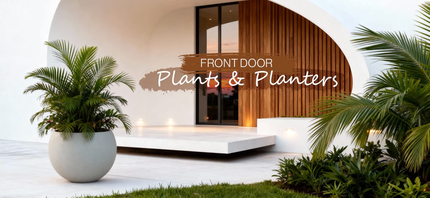 Planters for Entrance