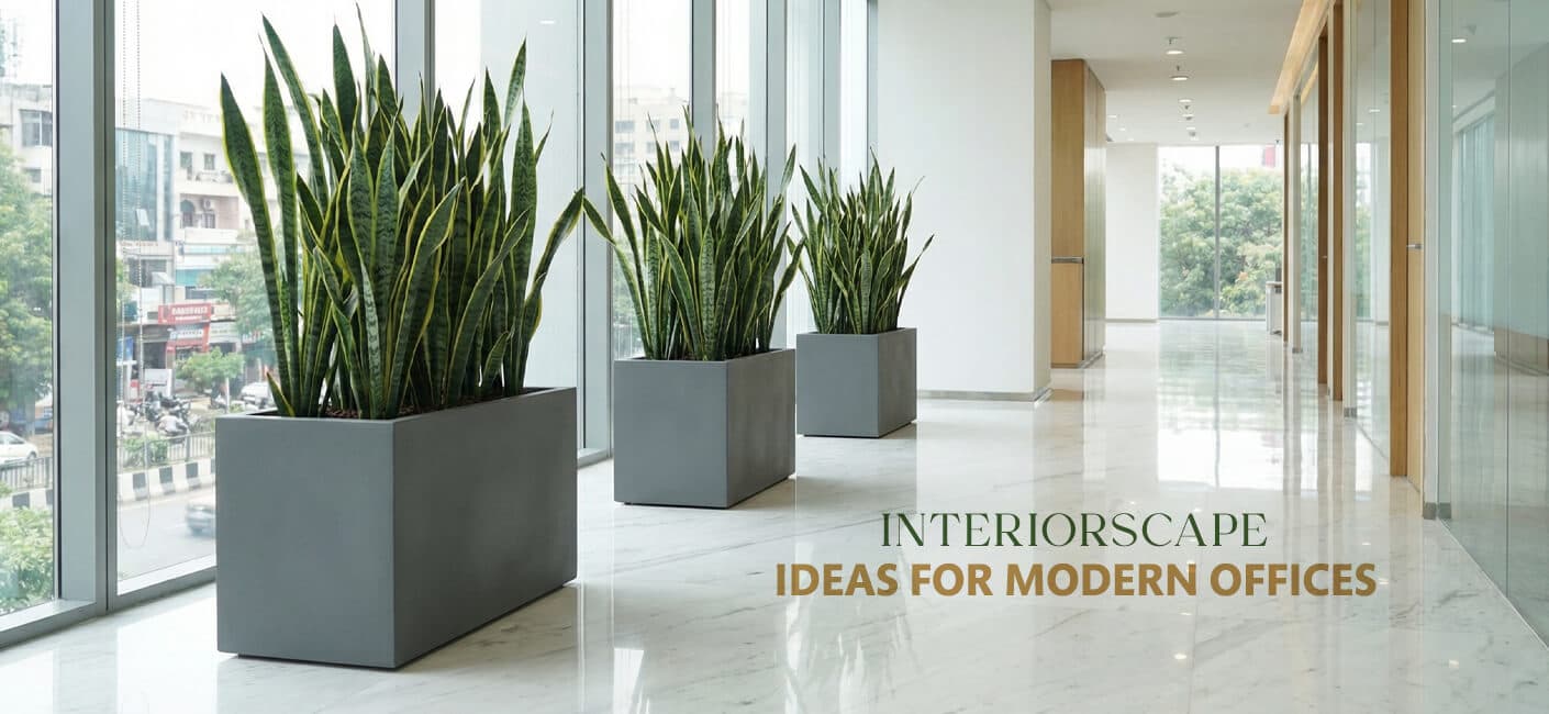 Interiorscape Hacks for Indian Homes: Save Time & Costs