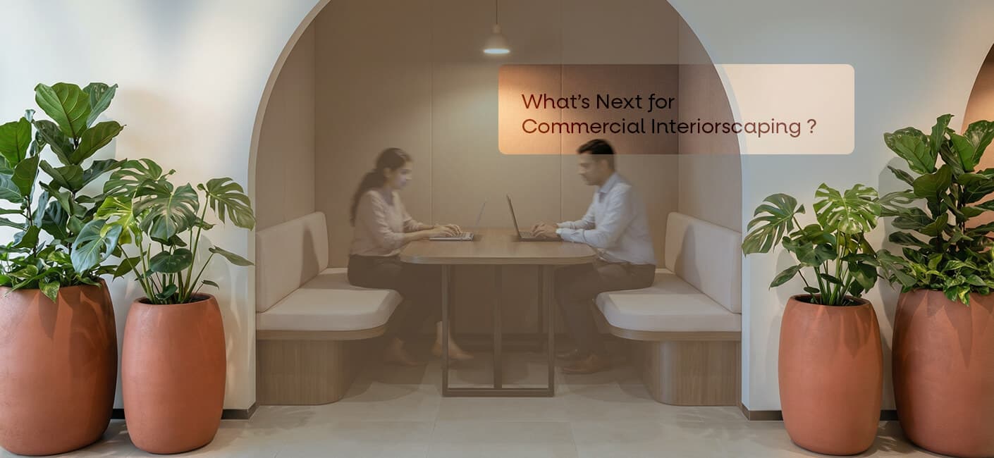 Commercial Interiorscaping