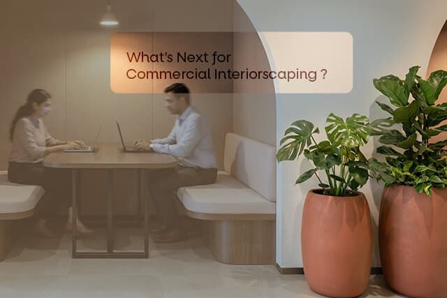 What’s Next for Commercial Interiorscaping: Key Trends & Insights