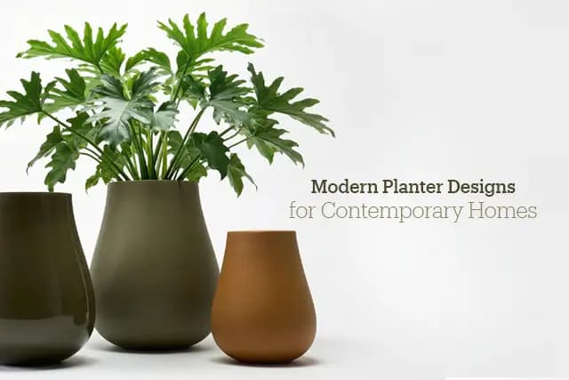 10 Modern Planter Designs for Contemporary Homes