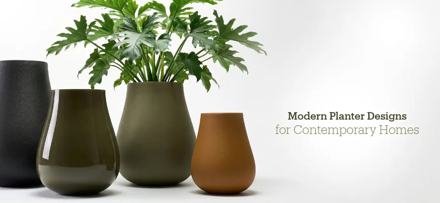 Modern Planter Designs for Contemporary Homes
