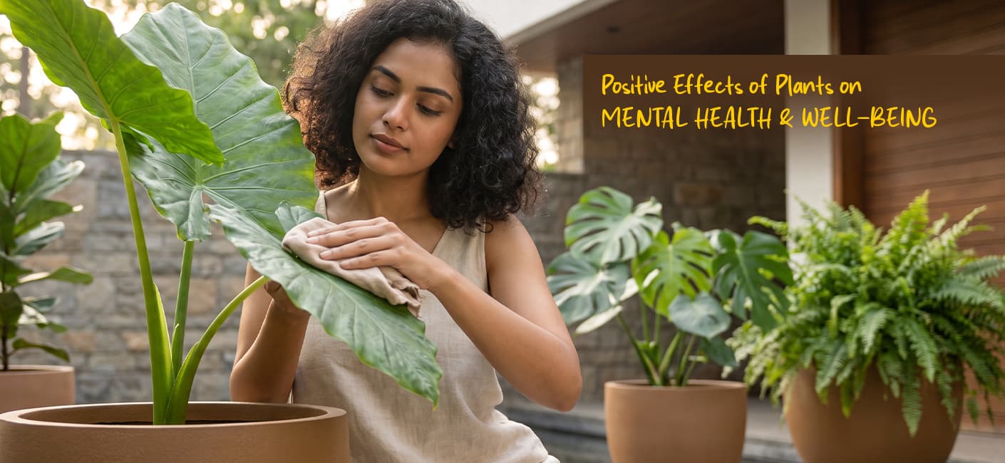 How Plants Positively Affect Mental Health and Well-Being