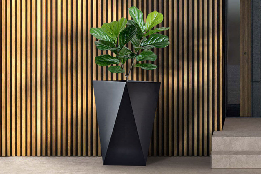 5 Reasons why hotels must have plants?