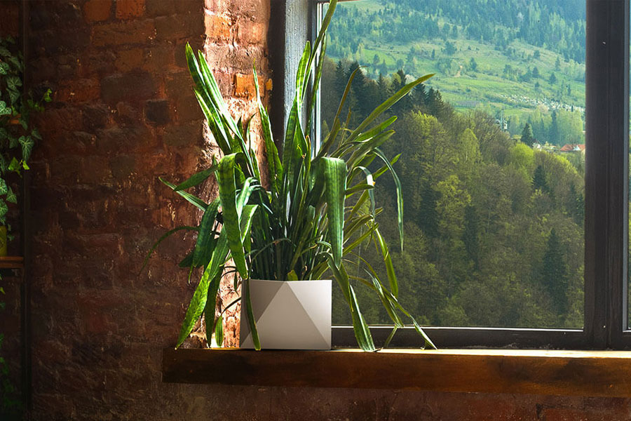 6 Indoor Gardening Tips You Cannot Afford To Miss