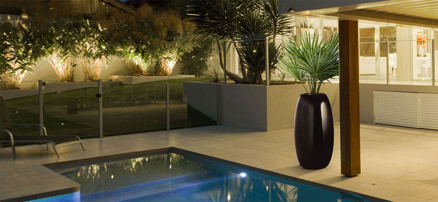 10 plants that grow in the dark Bonasila