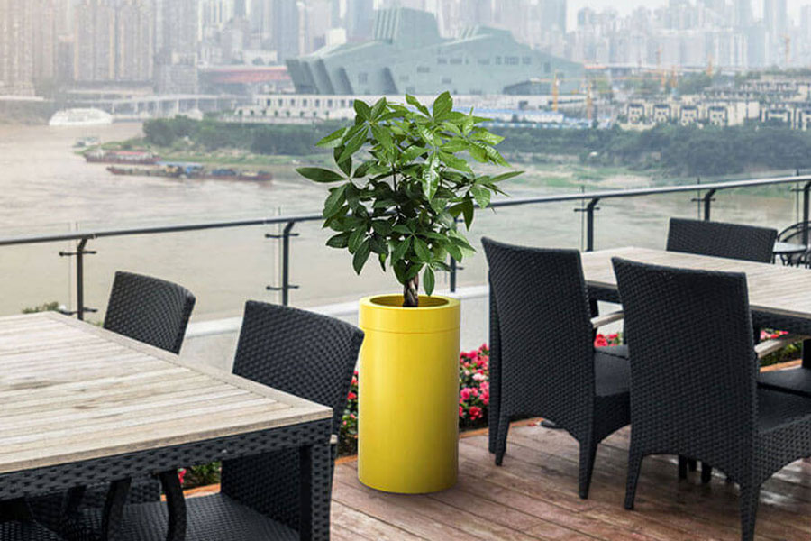 How to own a fab terrace garden?