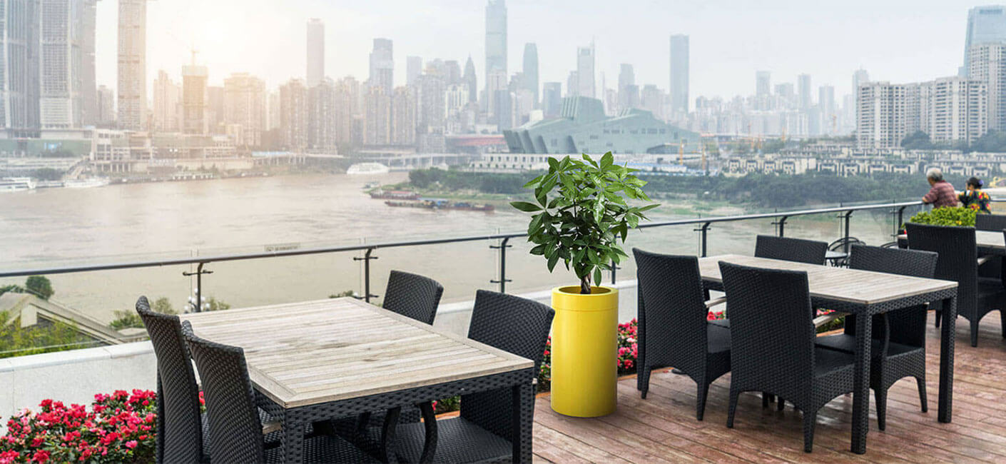 How to own a fab terrace garden?