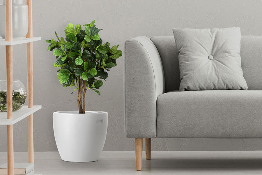 How to decorate a new flat with designer planter?