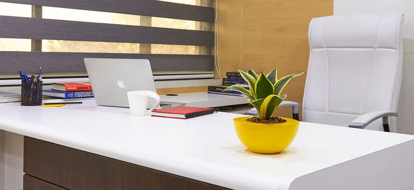 Best Ways to Use Planters for Corporate Spaces