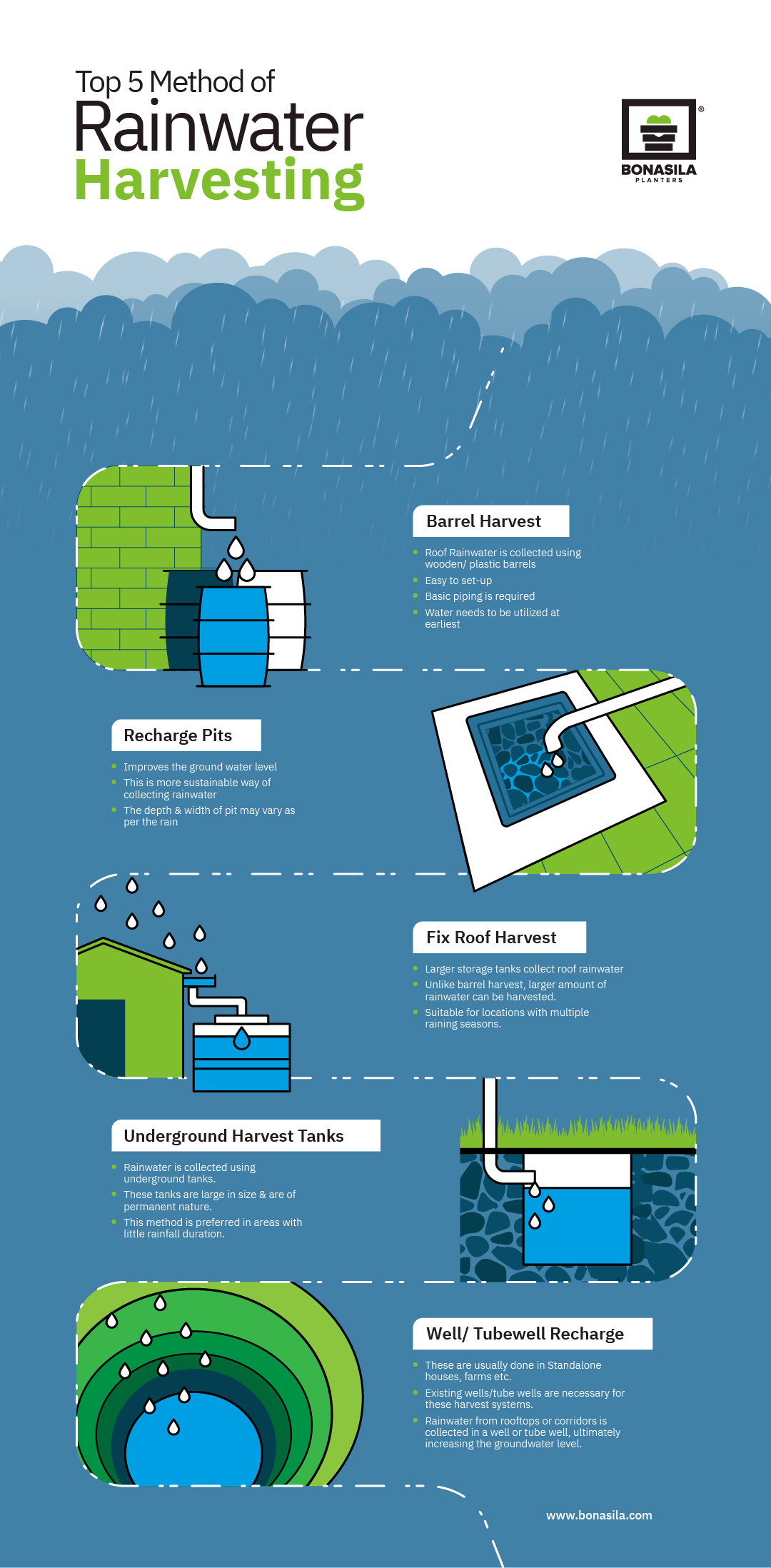 how to collect rainwater for plants?