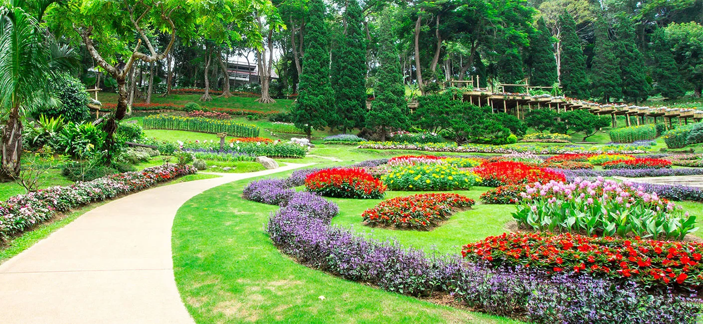 Details more than 126 decorative plants for garden latest seven.edu.vn