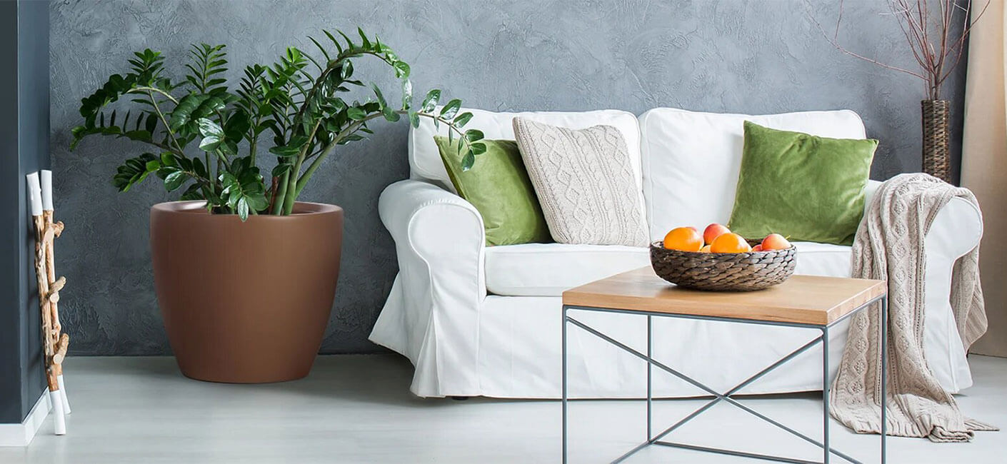 Does the Shape and Size of a Planter Affect Plant’s Growth?