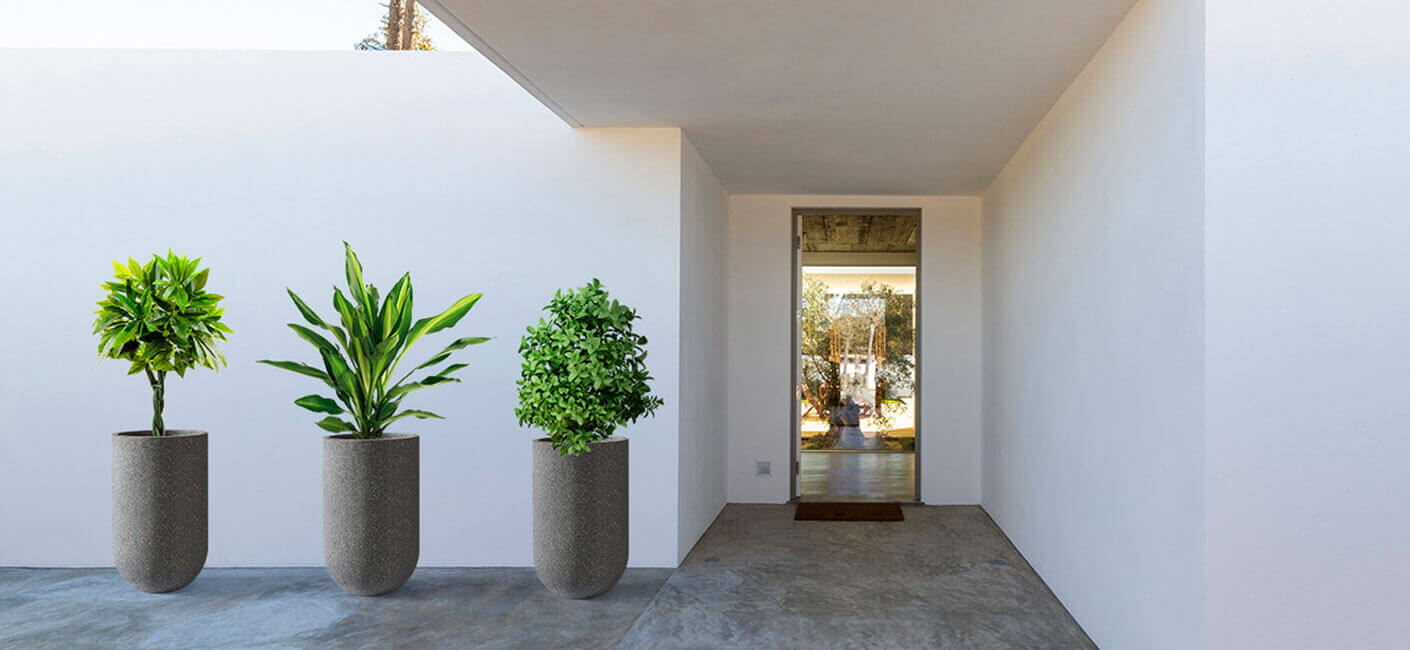 How can Bonasila’s large planters beautify your home’s entrance?