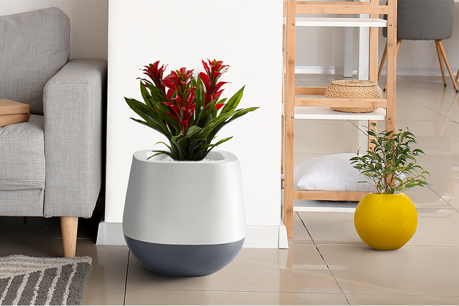 decorative indoor flower pots