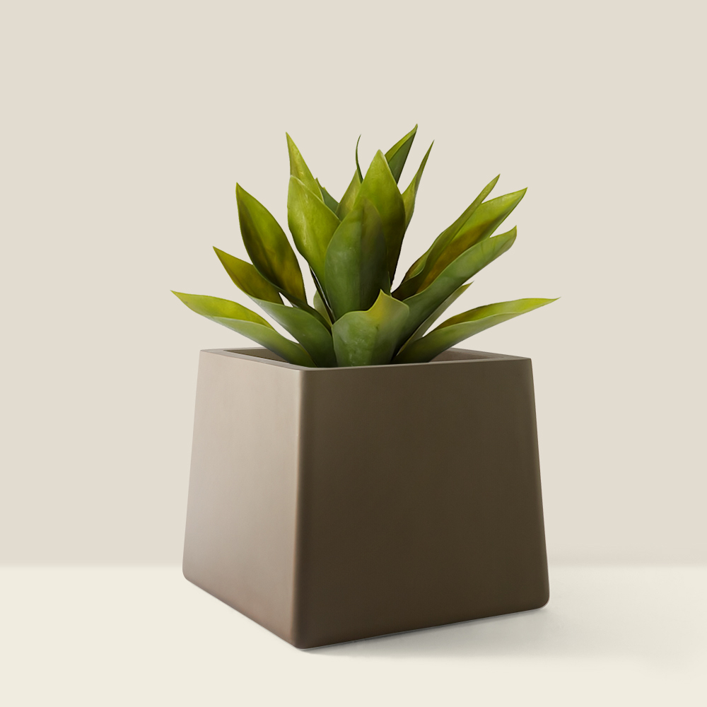 Designer pots from Bonasila. Bucciro planter in grey color and rustic finish from the existo collection.