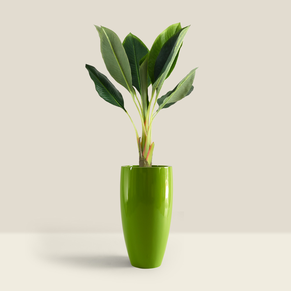 buy fibre pots online. cilia tall planter in green color and gloss finish from Bonasila.