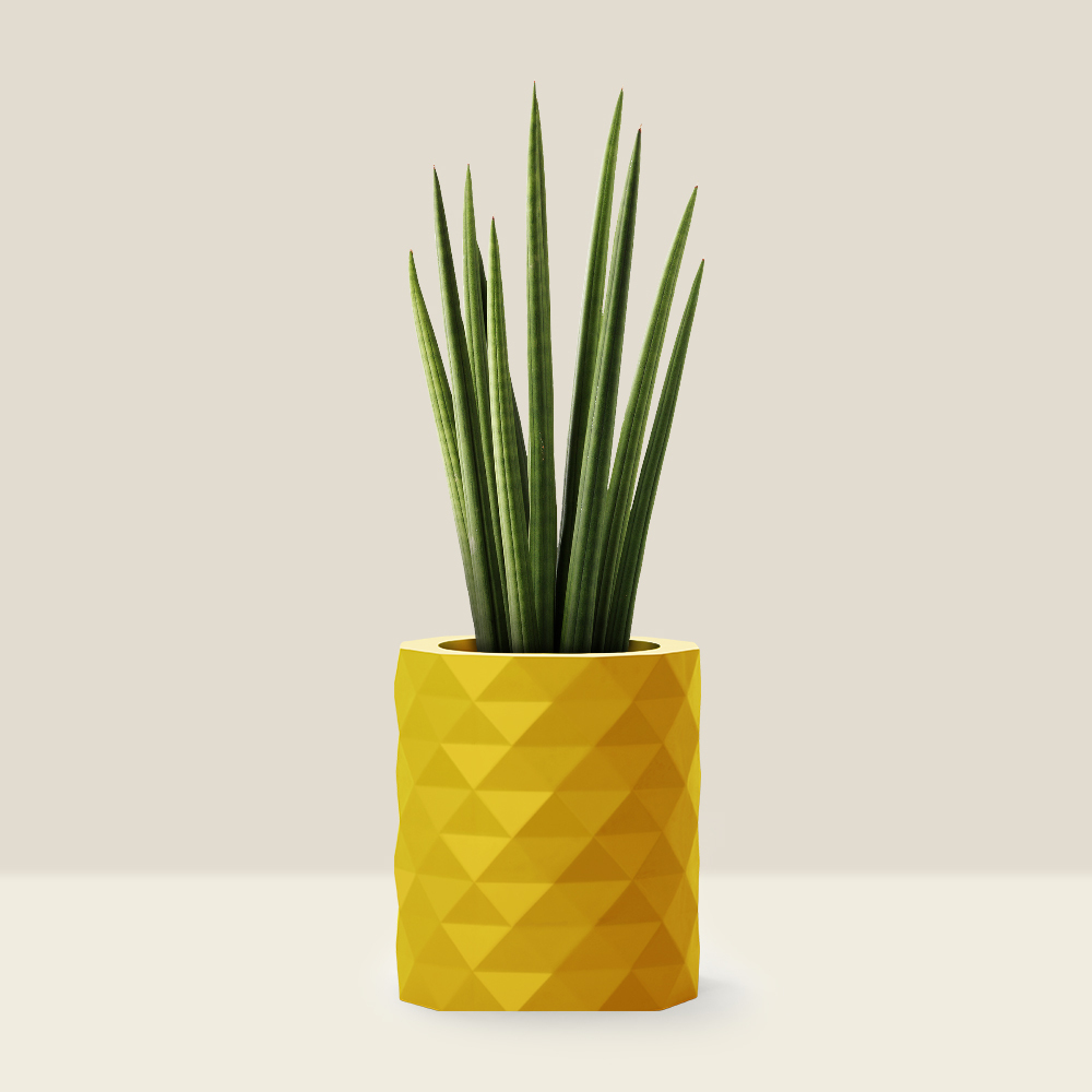 fiber pots for plants from Bonasila. Conza D planter of yellow color & gloss finish.