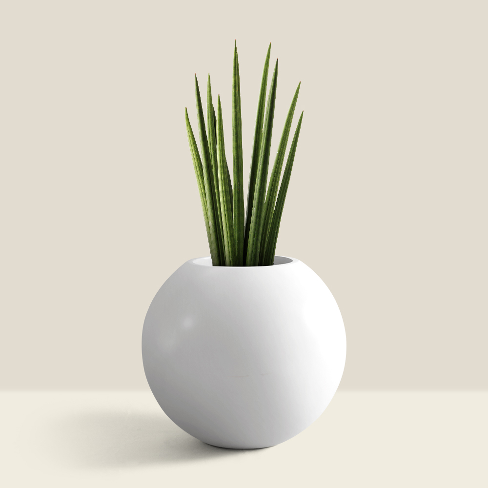 designer garden pots from Bonasila. Ovalio round shaped planter in white colour & gloss finish.