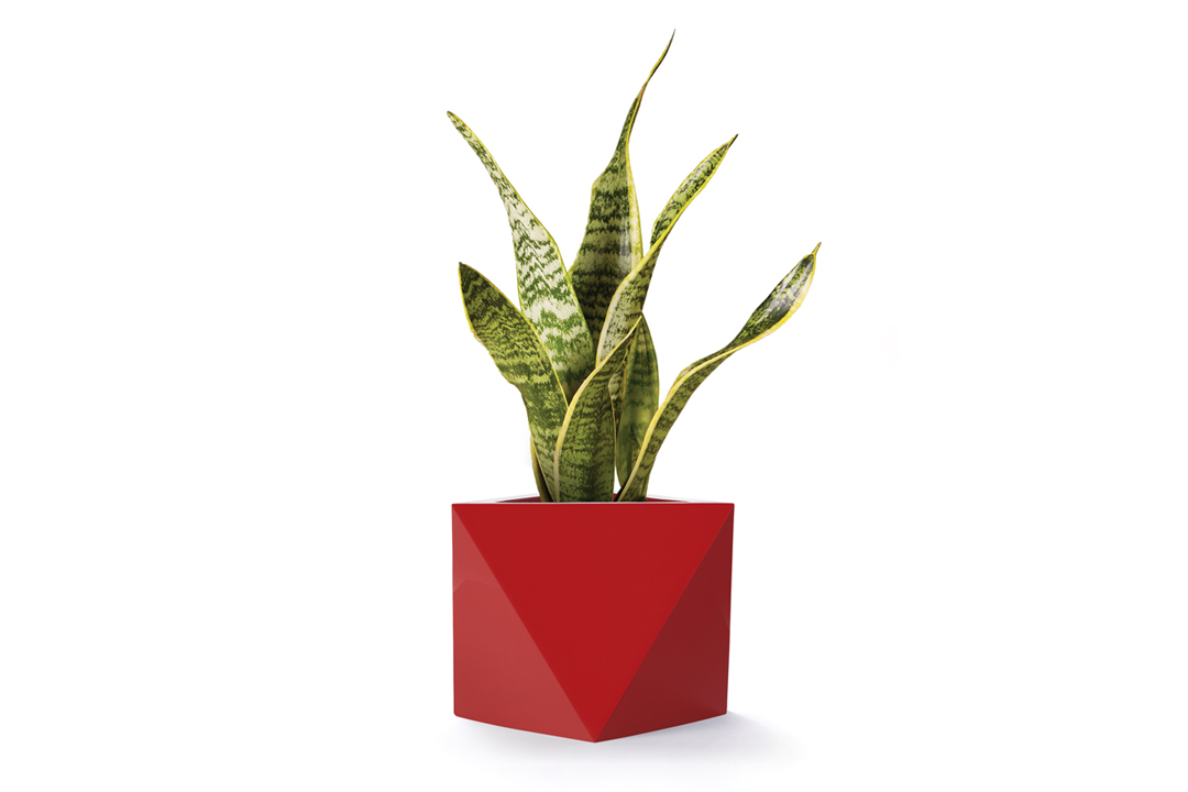 snake plant in red atia planter made from fiberglass material