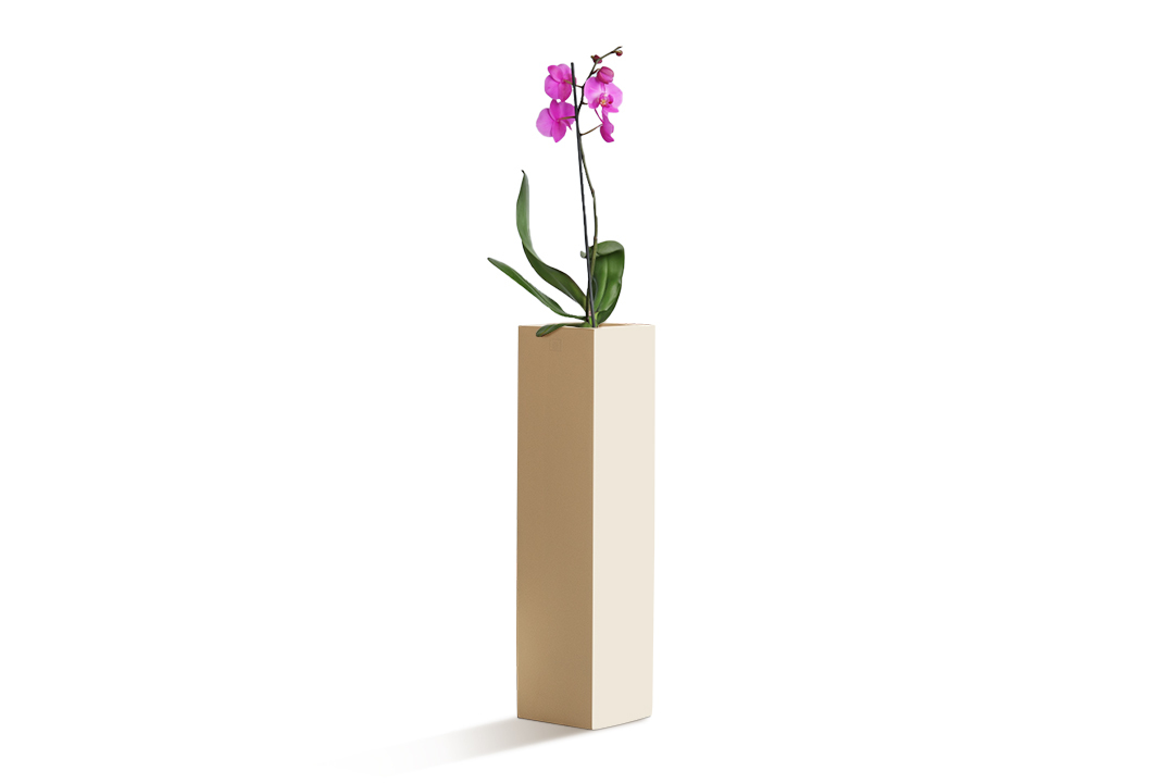 orchid plant planted in a rectangular planter