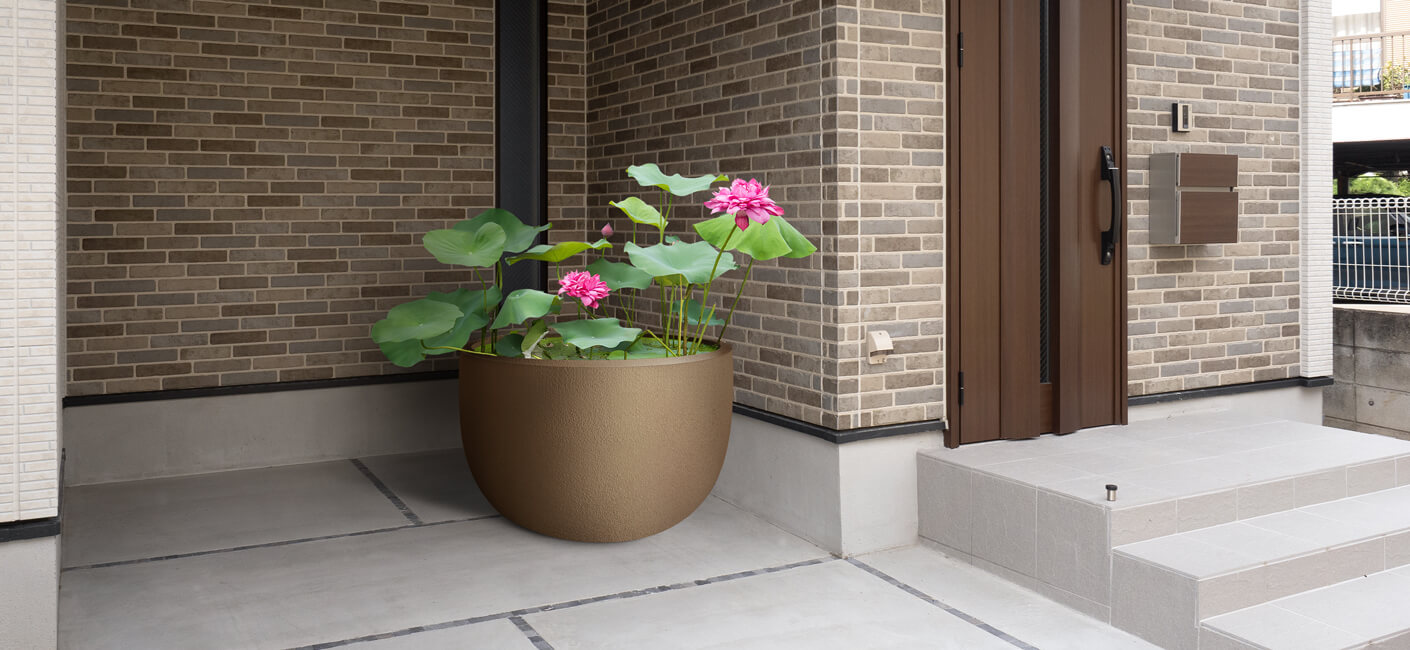 Water Gardening: Everything You Need to Know