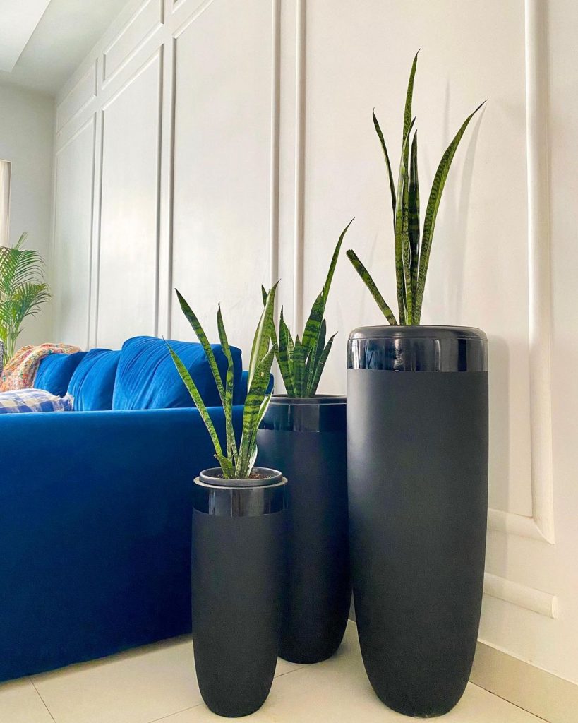 tall outdoor plant pots placed next to each other