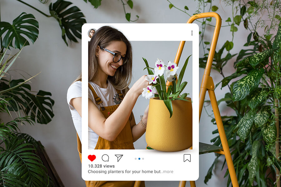 How are top influencers decorating their homes with Bonasila Planters?