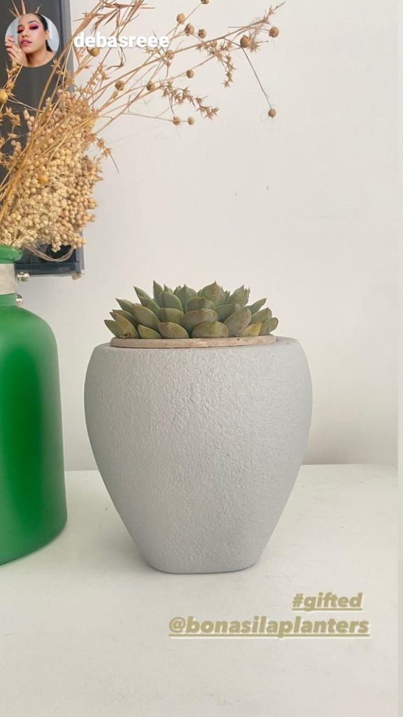 tabletop designer planter with cactus