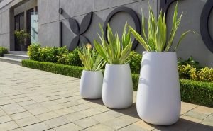 Curvy and modern design planters by Bonasila for outdoors