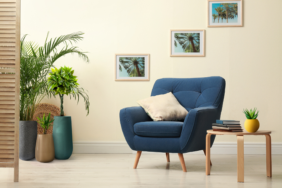 Top 8 Bonasila Indoor Planters – Customer’s Favourites