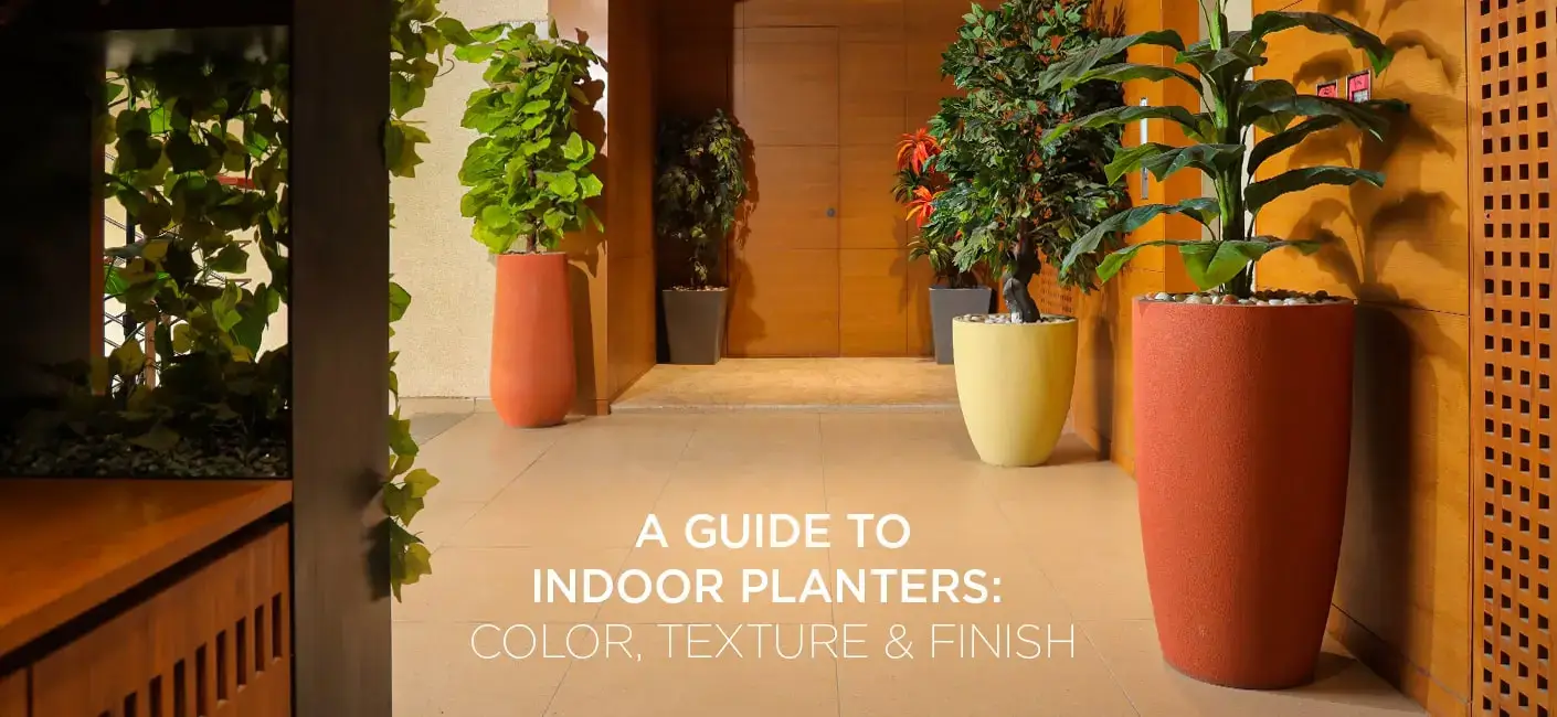 Tips for Choosing the Right Indoor Planters