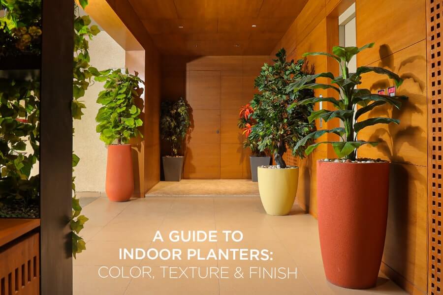 A Guide to Indoor Planters: Color, Texture and Finish