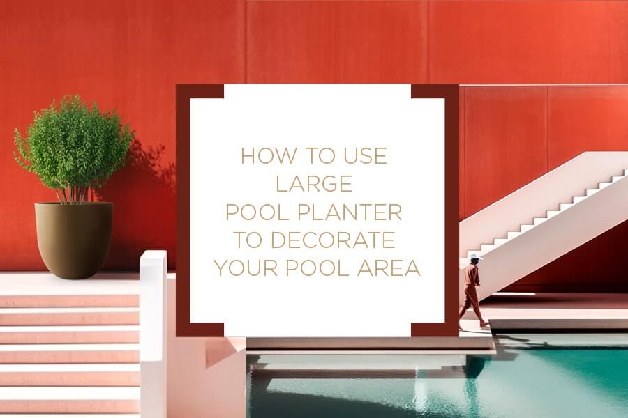 Decorative Modern Pool Planters Ideas