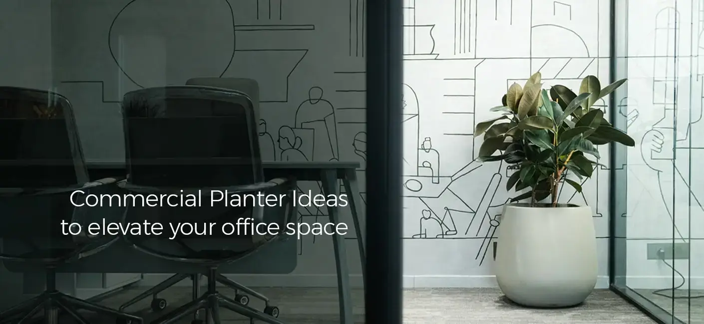 Commercial Planter Ideas to Elevate Your Office Space