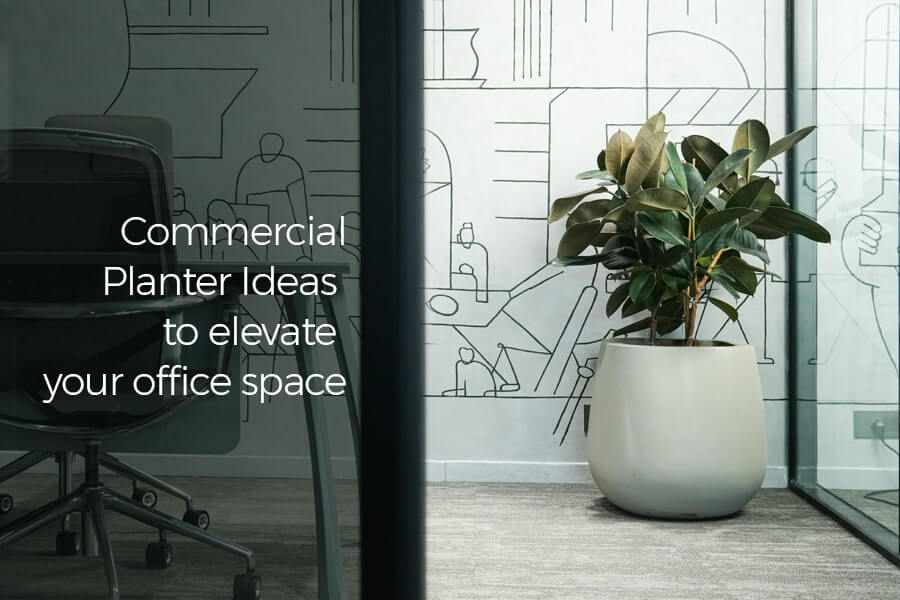Commercial Planter Ideas to Elevate Your Office Space